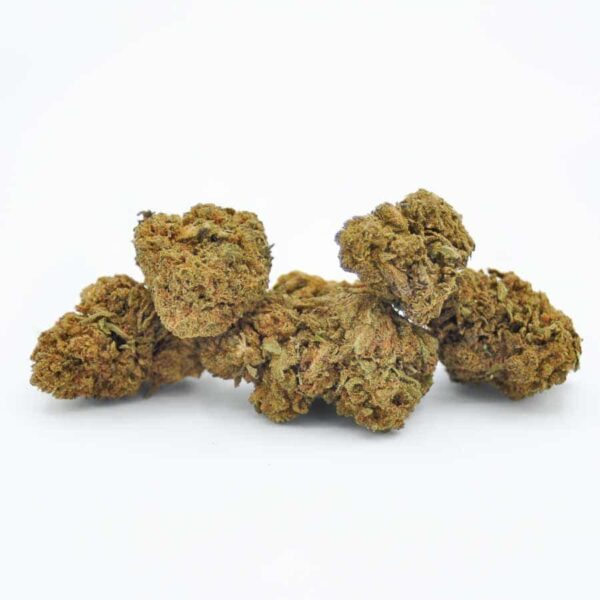 Harlequin CBD