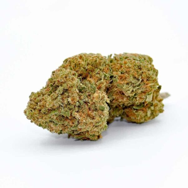 Cogollos CBD Jack Herer
