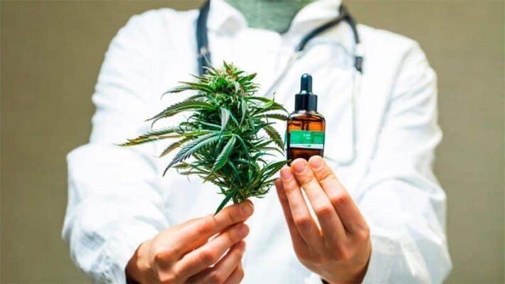 aceites y flores de cbd como alternativa medicinal