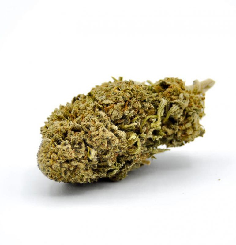 Cogollos CBD Zkittlez flores de CBD Organics
