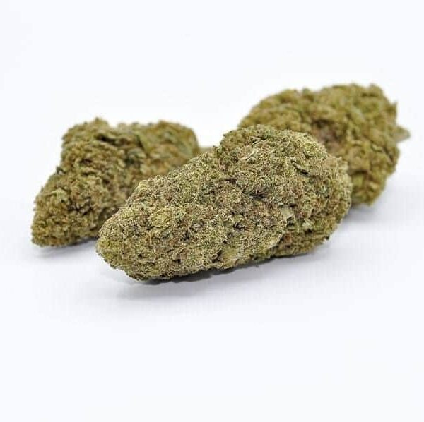Flores y cogollos CBD Mango Haze