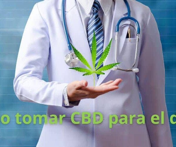 Tomar CBD para el dolor con CBD Organics