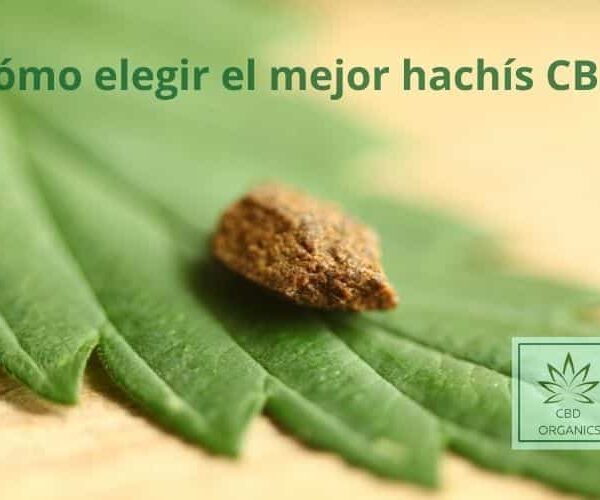 Elegir el mejor hachís CBD