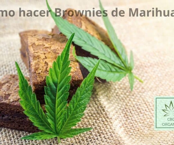 Como hacer brownies de marihuana