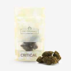 cogollos con bolsita Critical CBD