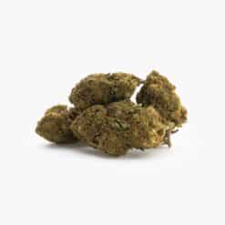 Cogollos agrupados de Critical CBD
