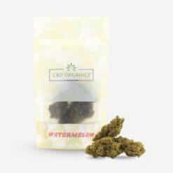 Packaging de cogollos Watermelon CBD