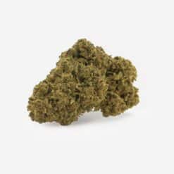 Flor de Jack Herer CBD