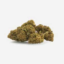 Grupo de cogollos Gorilla Glue CBD