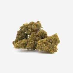 Cogollos juntos de Lemon Haze CBD