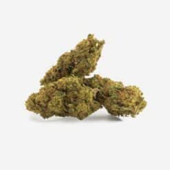 Tres cogollos de Watermelon CBD