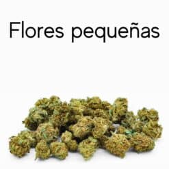 Small buds o pop corn CBD