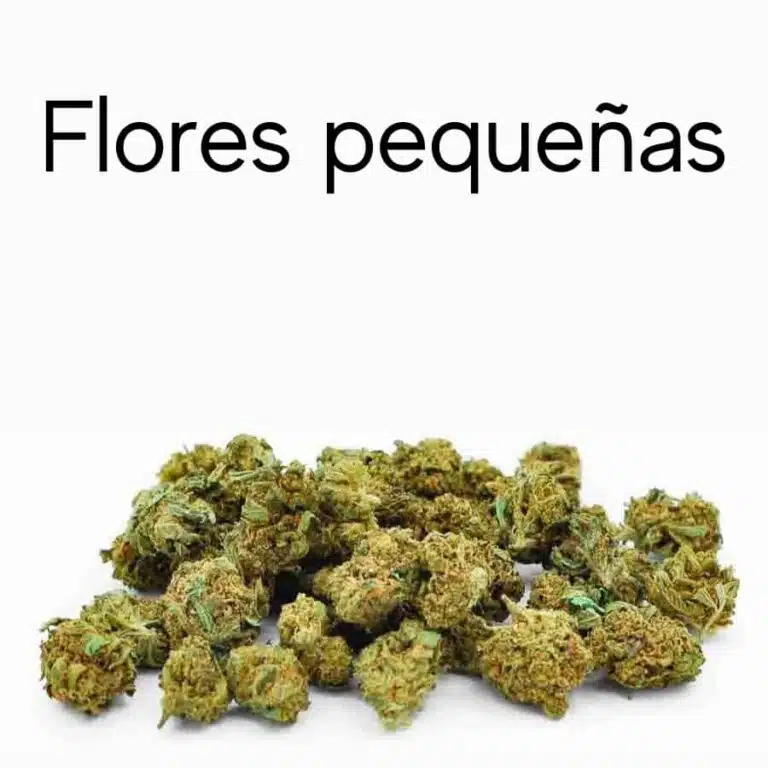 Cogollos CBD pequeños