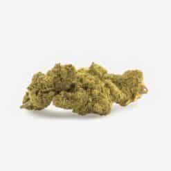 Mango Haze cogollos y flores