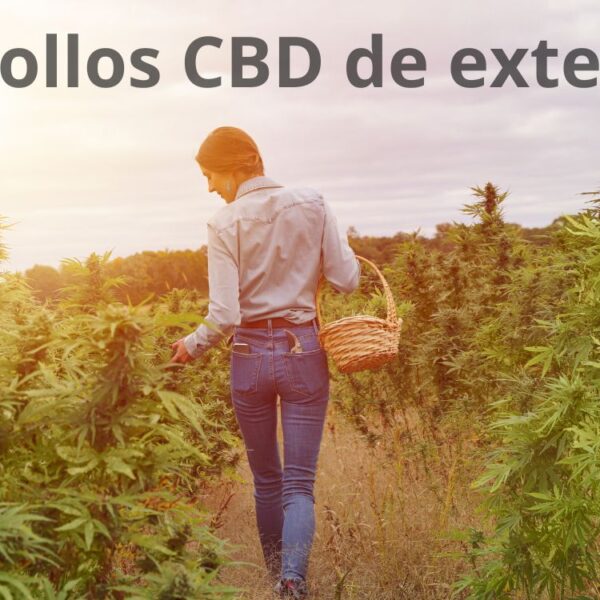Flores CBD de exterior