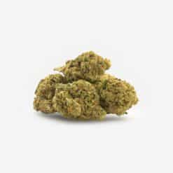 Tres flores de Gelato CBD