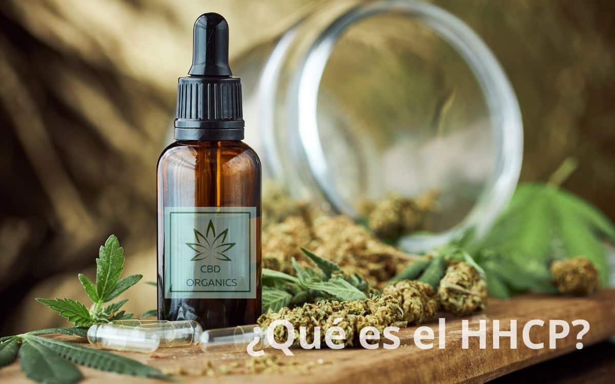 Explicación qué es el HHCP