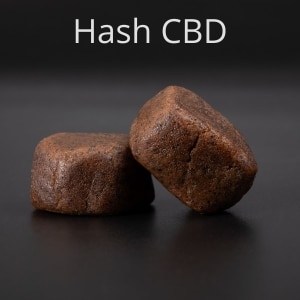 Hash CBD