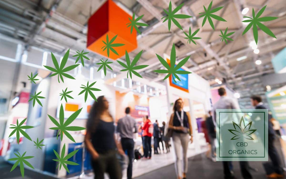 Feria del CBD Spannabis