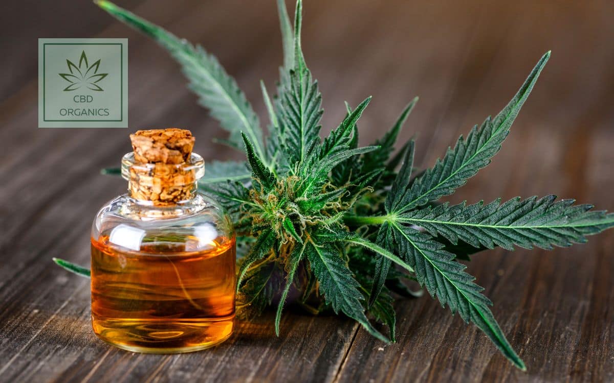 Cogollos y aceites de CBD Organics