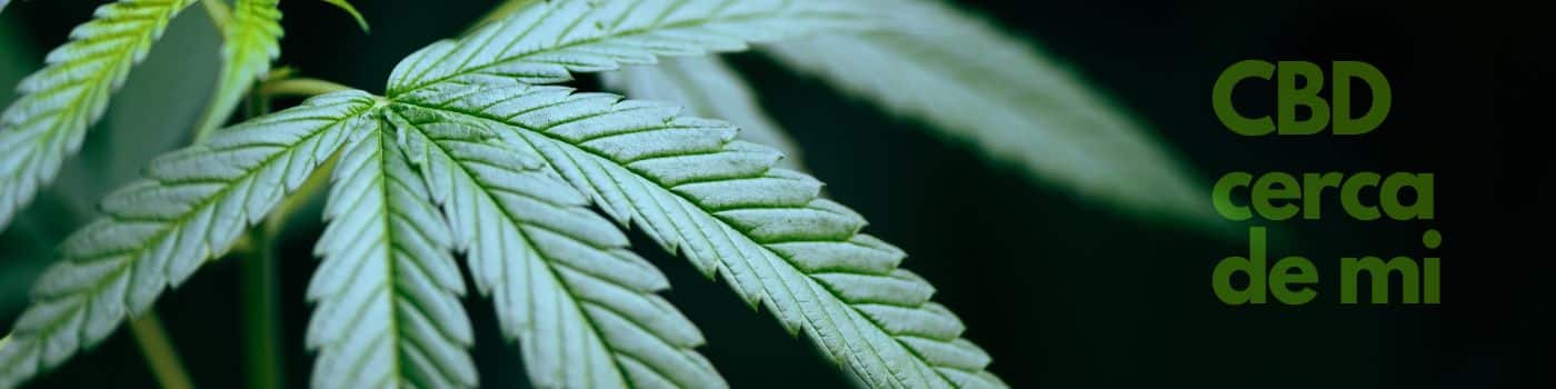 Compra CBD en tu ciudad o provincia