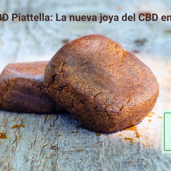 Hachís CBD Piattella by CBD Organics