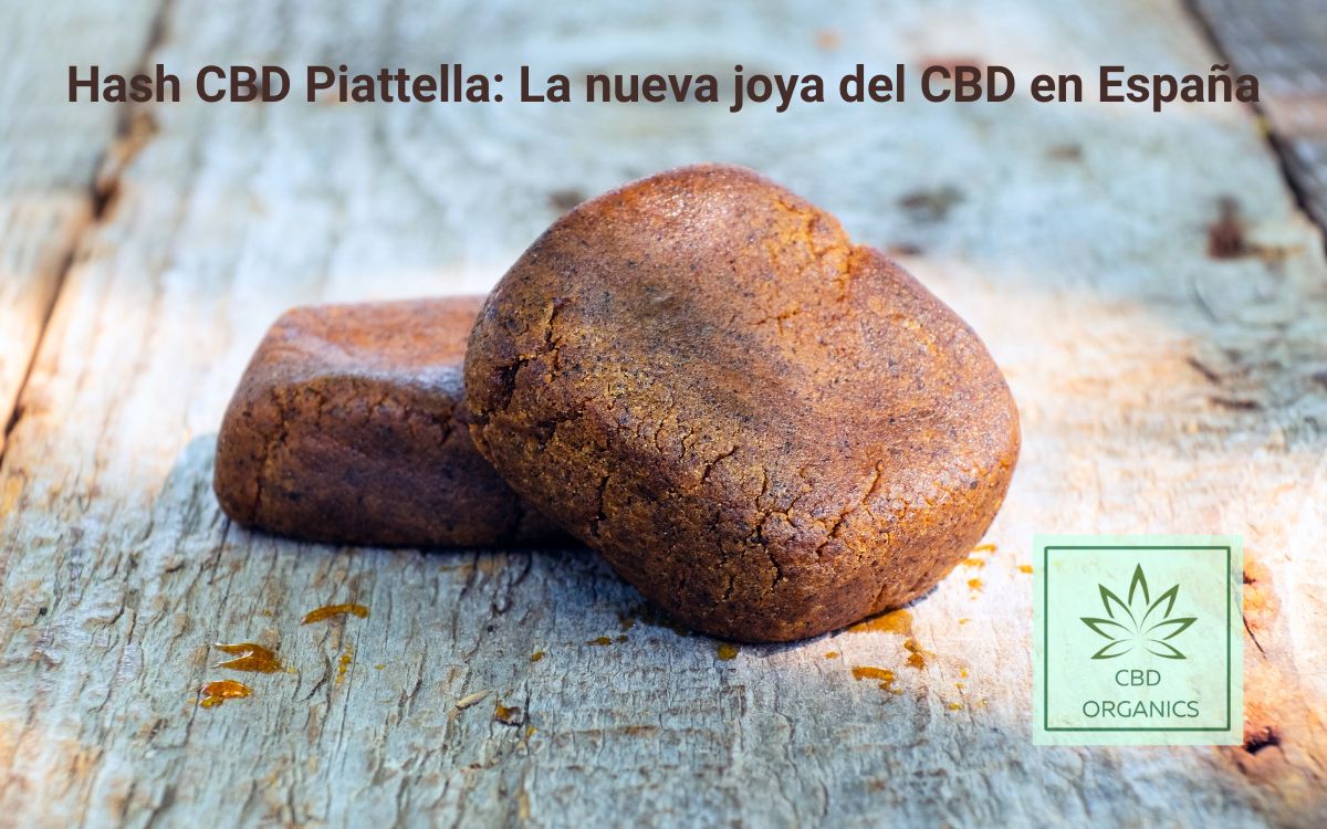 Hachís CBD Piattella by CBD Organics