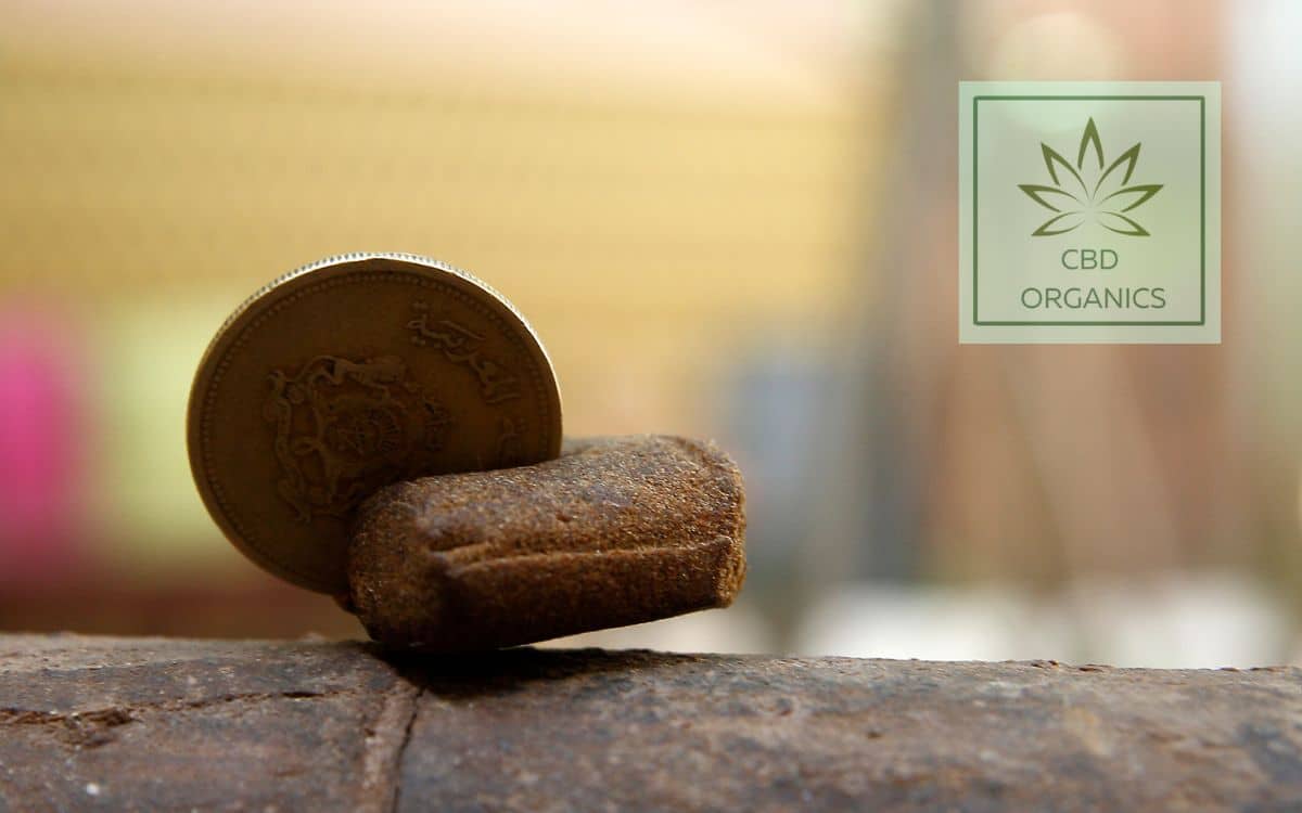 Hachís Bubble Piattella CBD
