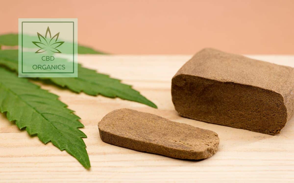 Piatella y Bubble hachís de CBD