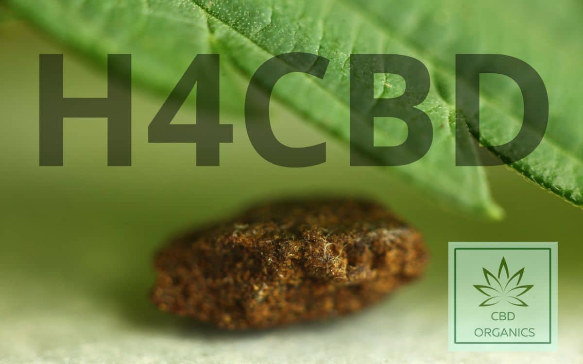 El H4CBD en hachís