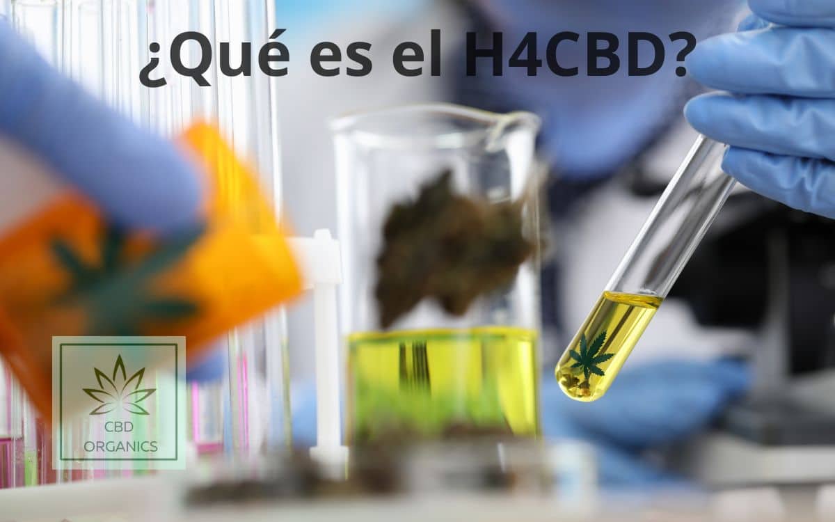Cannabinoides en CBD Organics