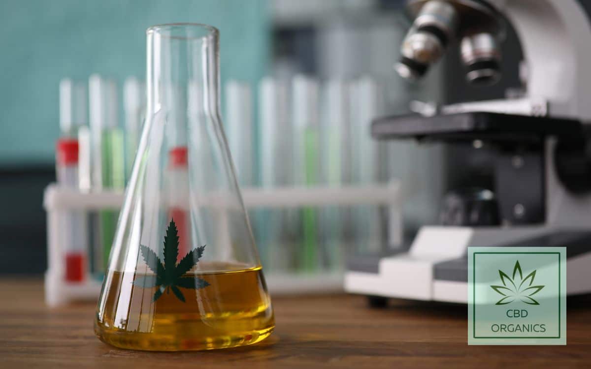Los cannabinoides mas importantes