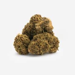 Grupo de cogollos Cookies CBD