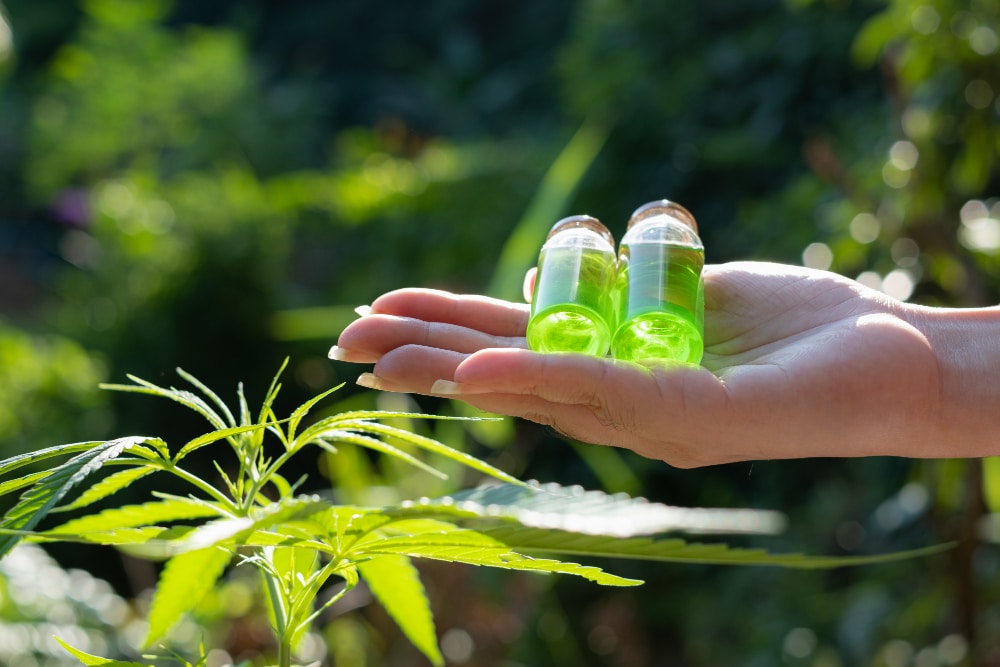 ¿El CBD coloca Una explicación rápida