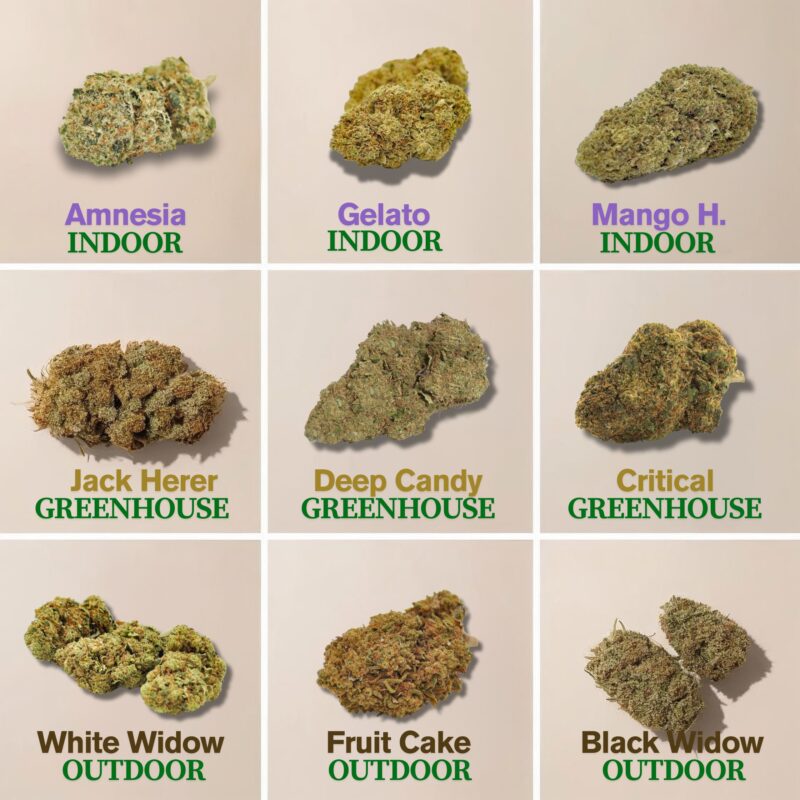 Pack de cogollos de CBD 9 variedades