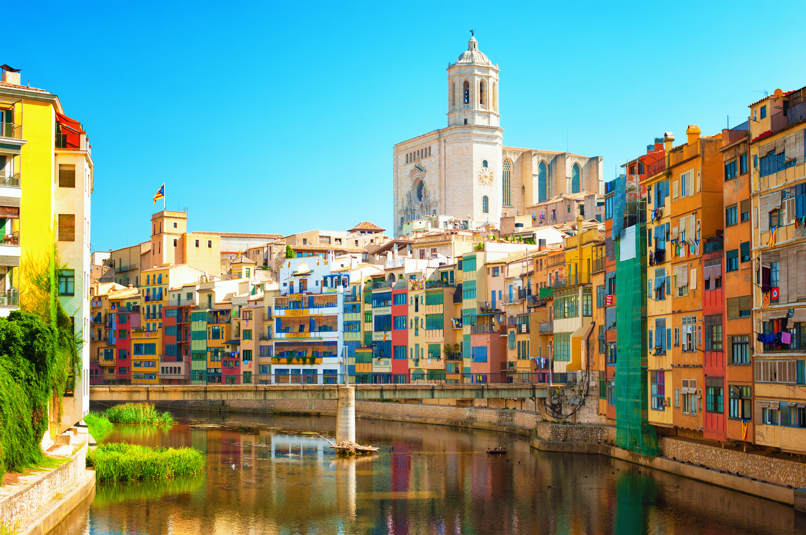 comprar CBD desde Girona