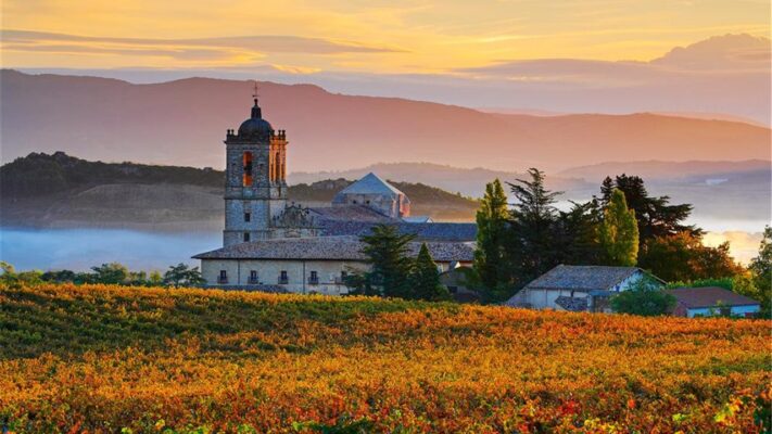 CBD en Navarra / Nafarroa