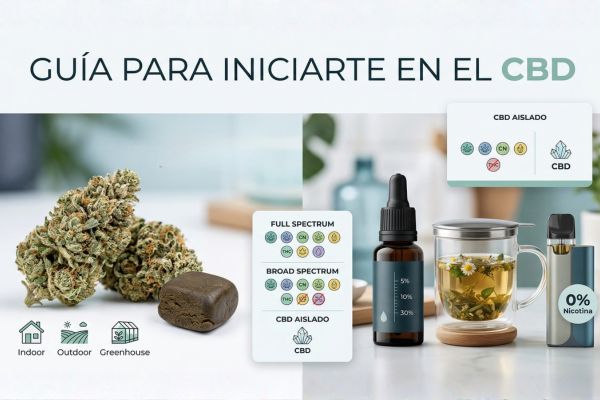 Guia productos CBD