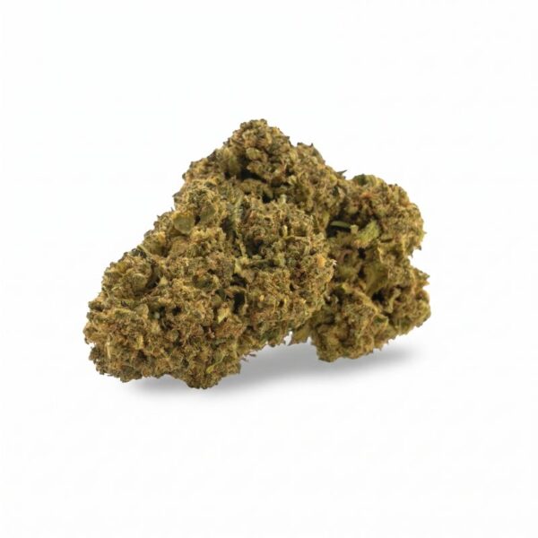 Cogollos Jack Herer