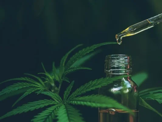 Proceso CBD