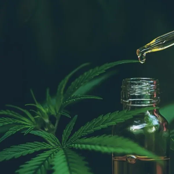 Proceso CBD