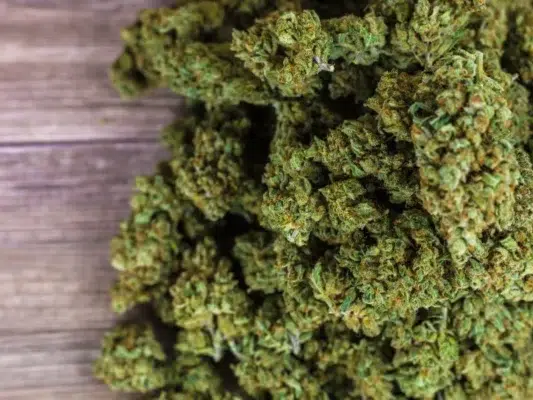 cbd en casa